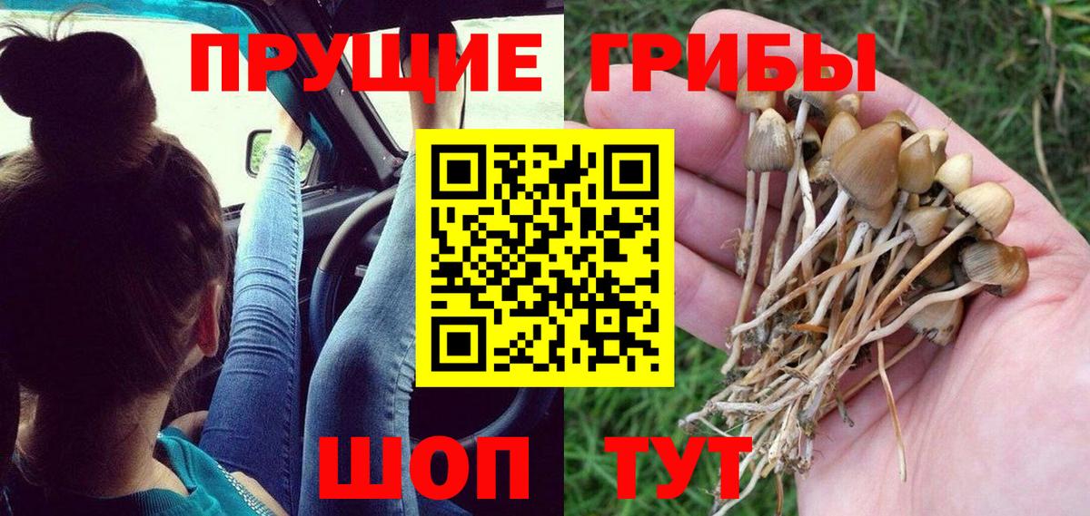 Всеволожск  Галлюциногенные грибы мухоморы  Вход с VPN 
