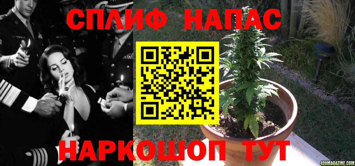 Марихуана индика  Вход с VPN  Всеволожск  Марихуана THC 21%  Бошки марихуана конопля 